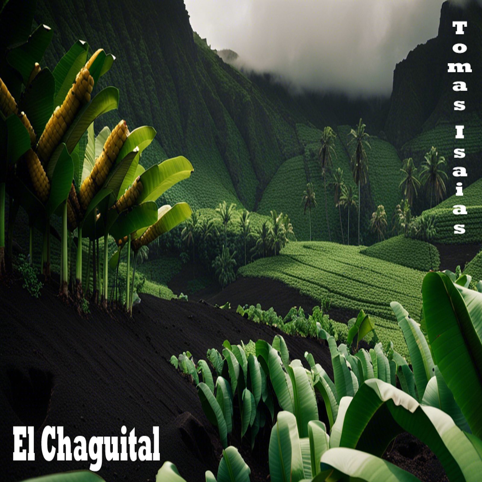 El Chaguital – Merengue Bailable
